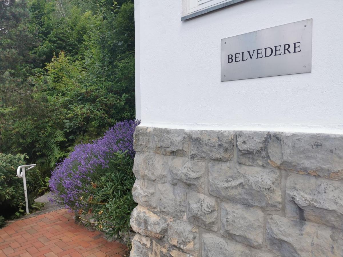 Villa Belvedere Rathen Exterior foto