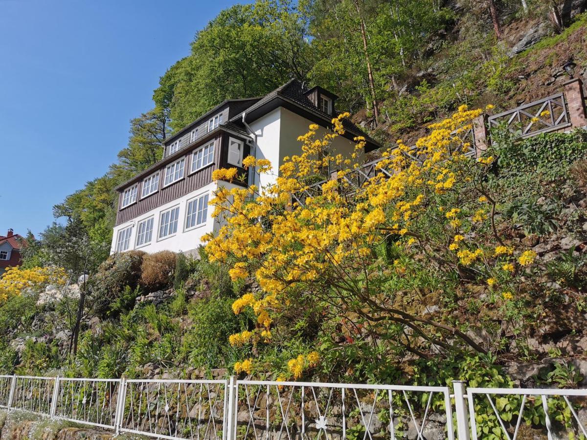Villa Belvedere Rathen Exterior foto